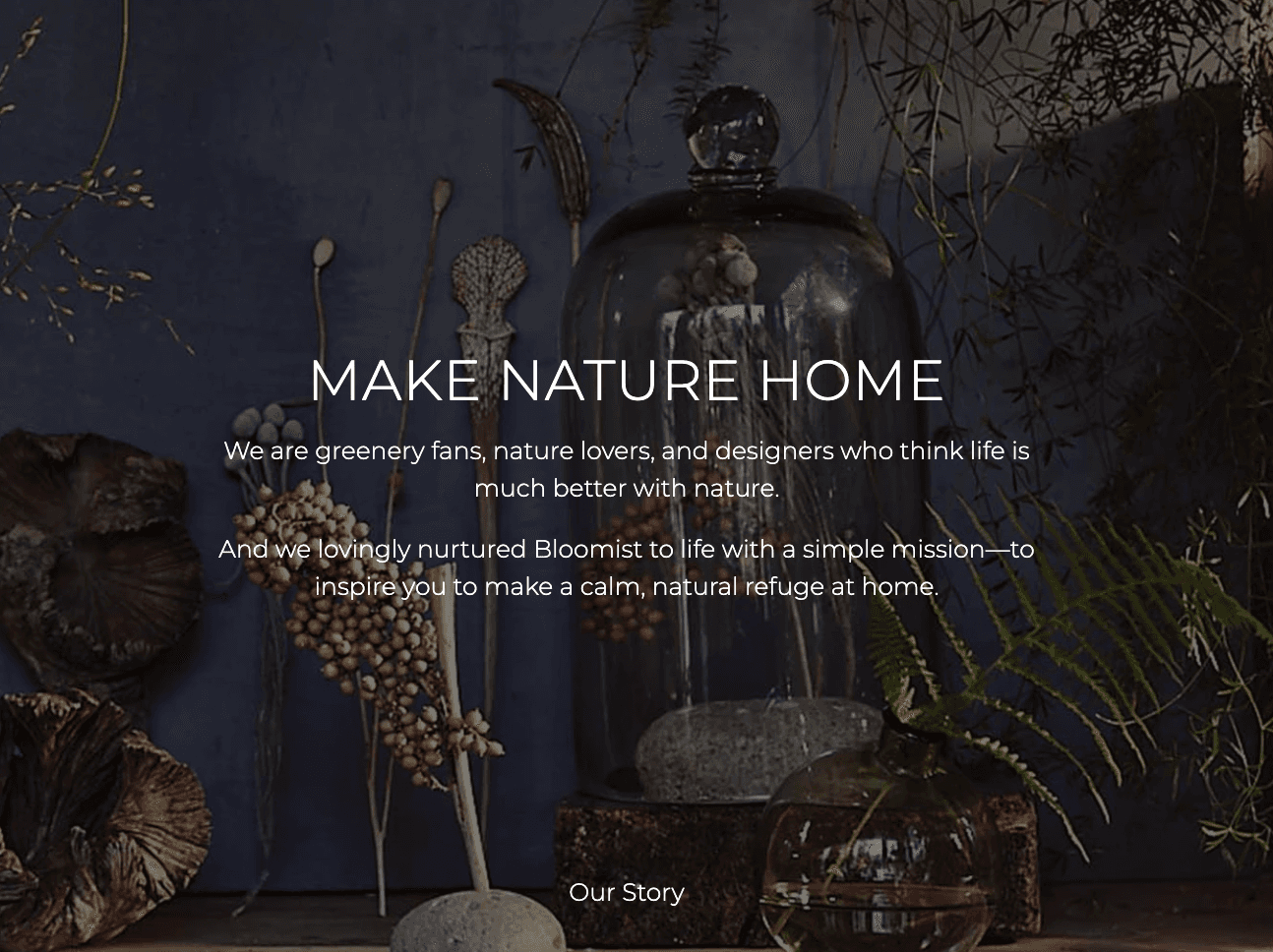 Bloomist gallery 2