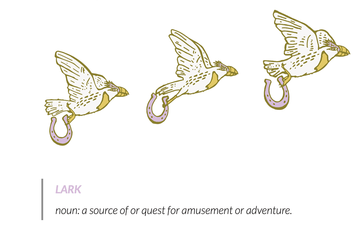 Wyld Lark Video Editing detail